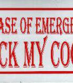 In case of emergency suck my cock